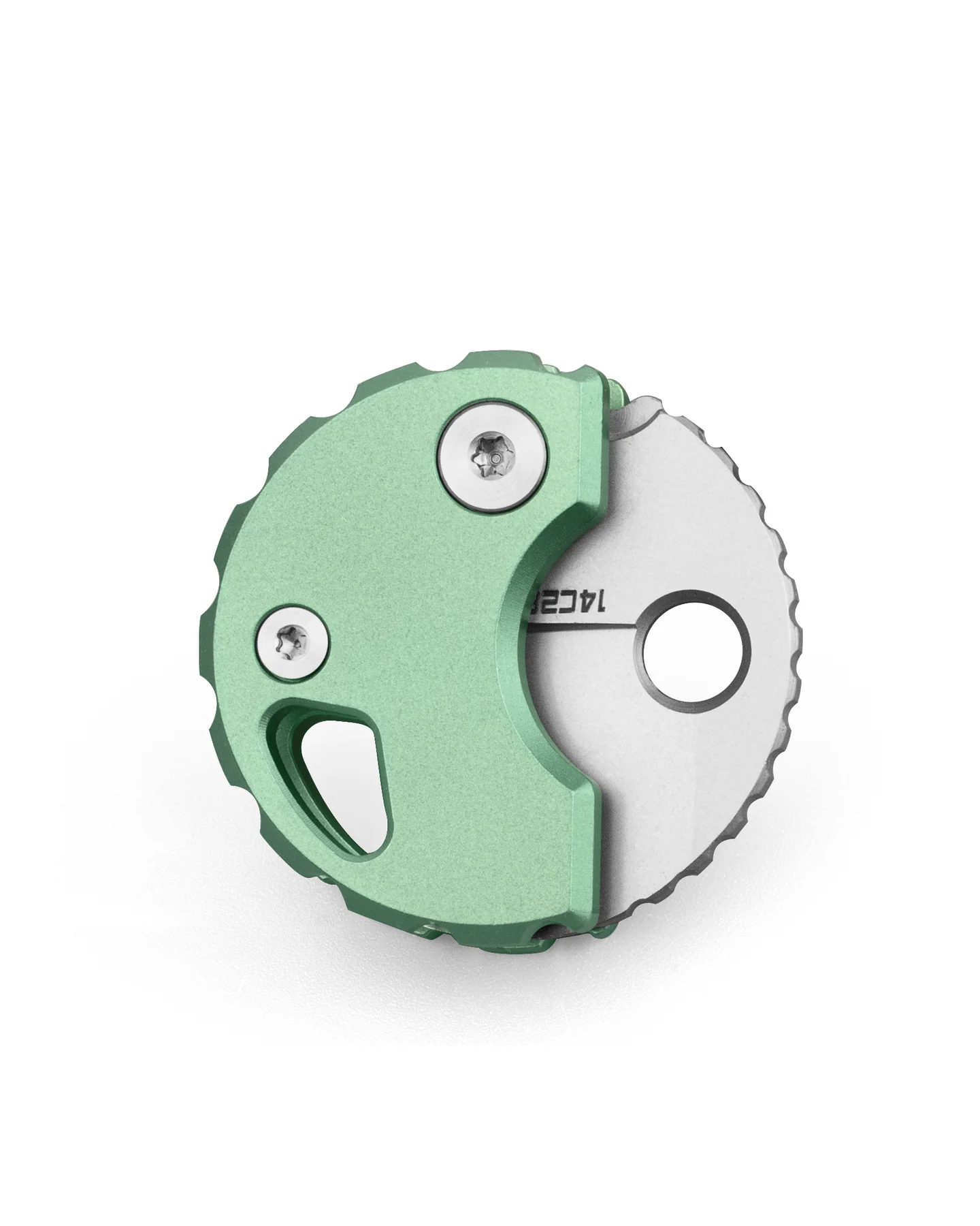 Bestechman Turtle – Image 4