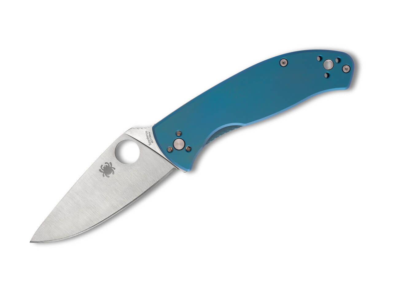 Spyderco C122GP Tenacious Klinge, Waffe, Dolch, Messer