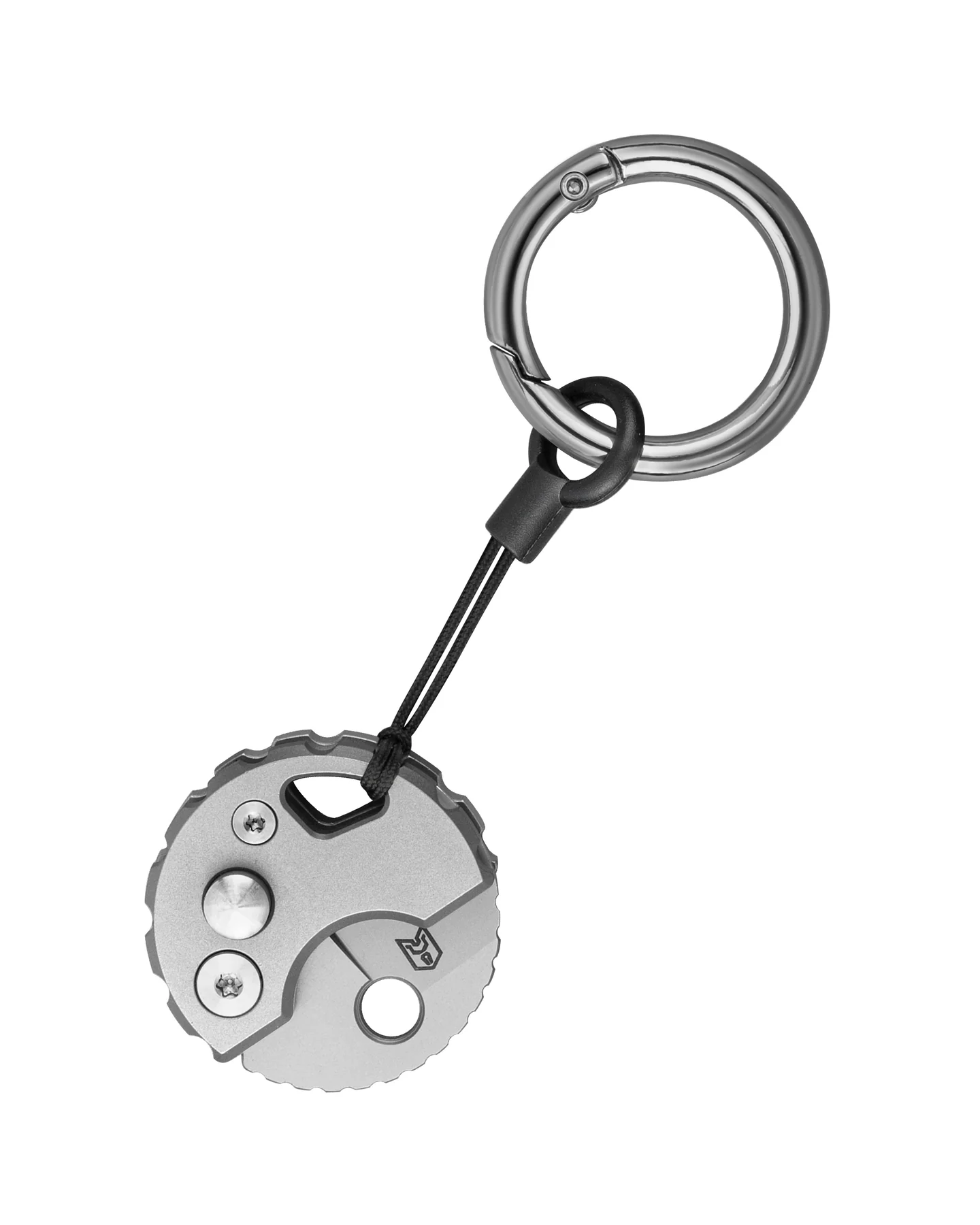 Bestechman Turtle – Image 5