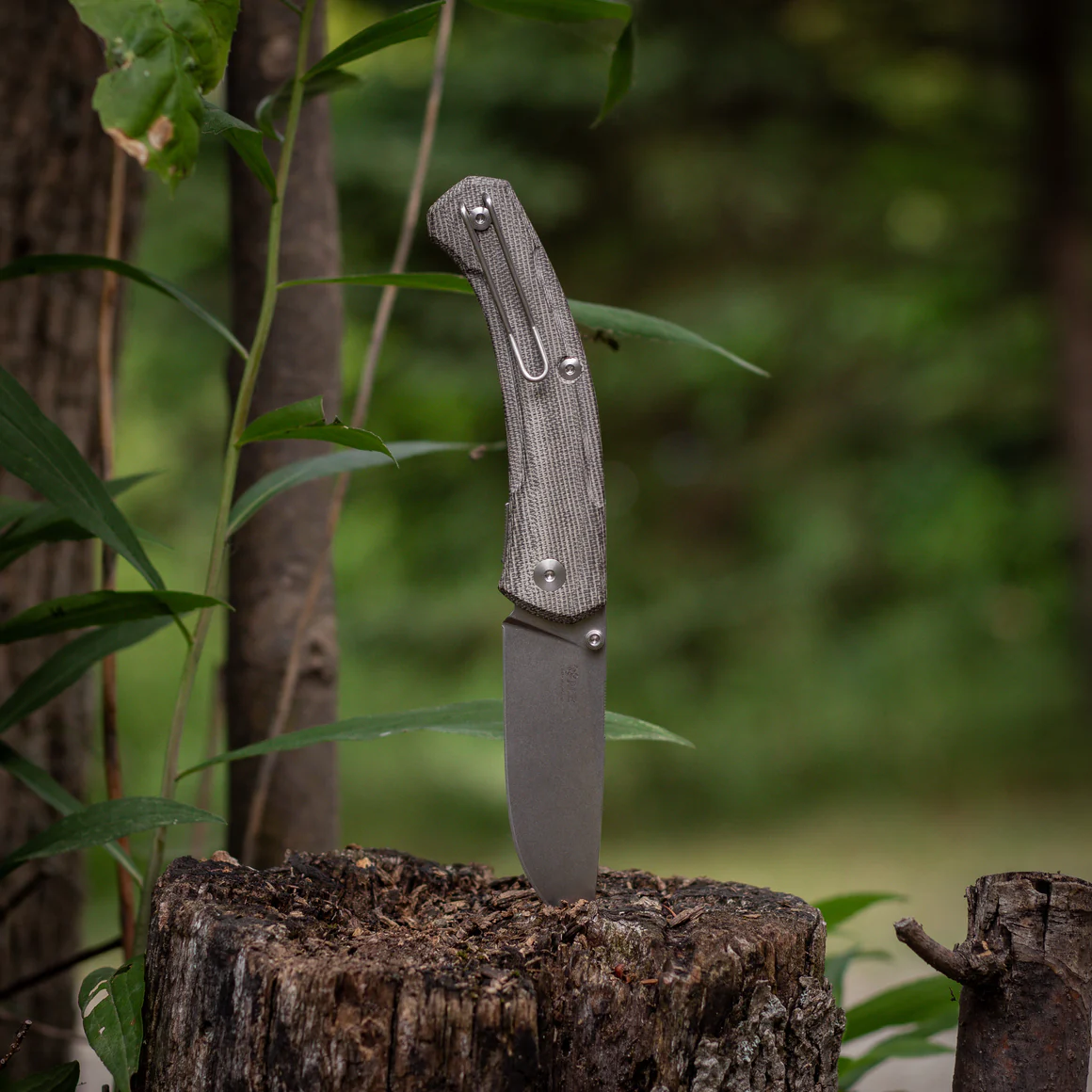 GiantMouse ACE Iona V2 – Image 9