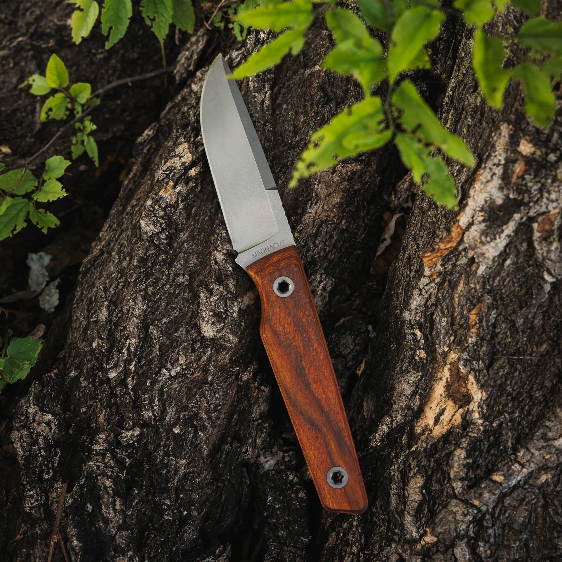 Big Idea Design USA Signal Fixed Blade Magnacut – Image 2