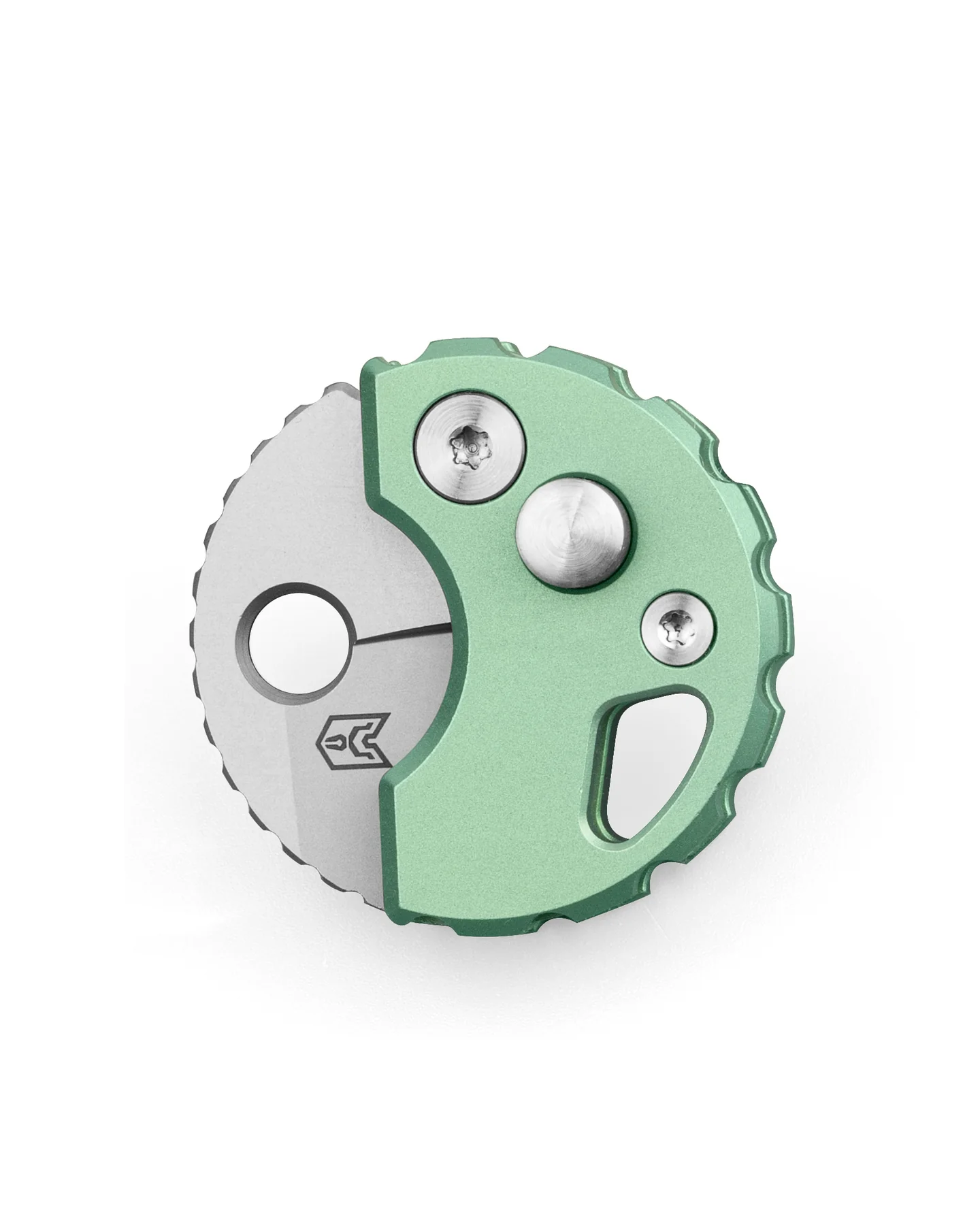 Bestechman Turtle – Image 3
