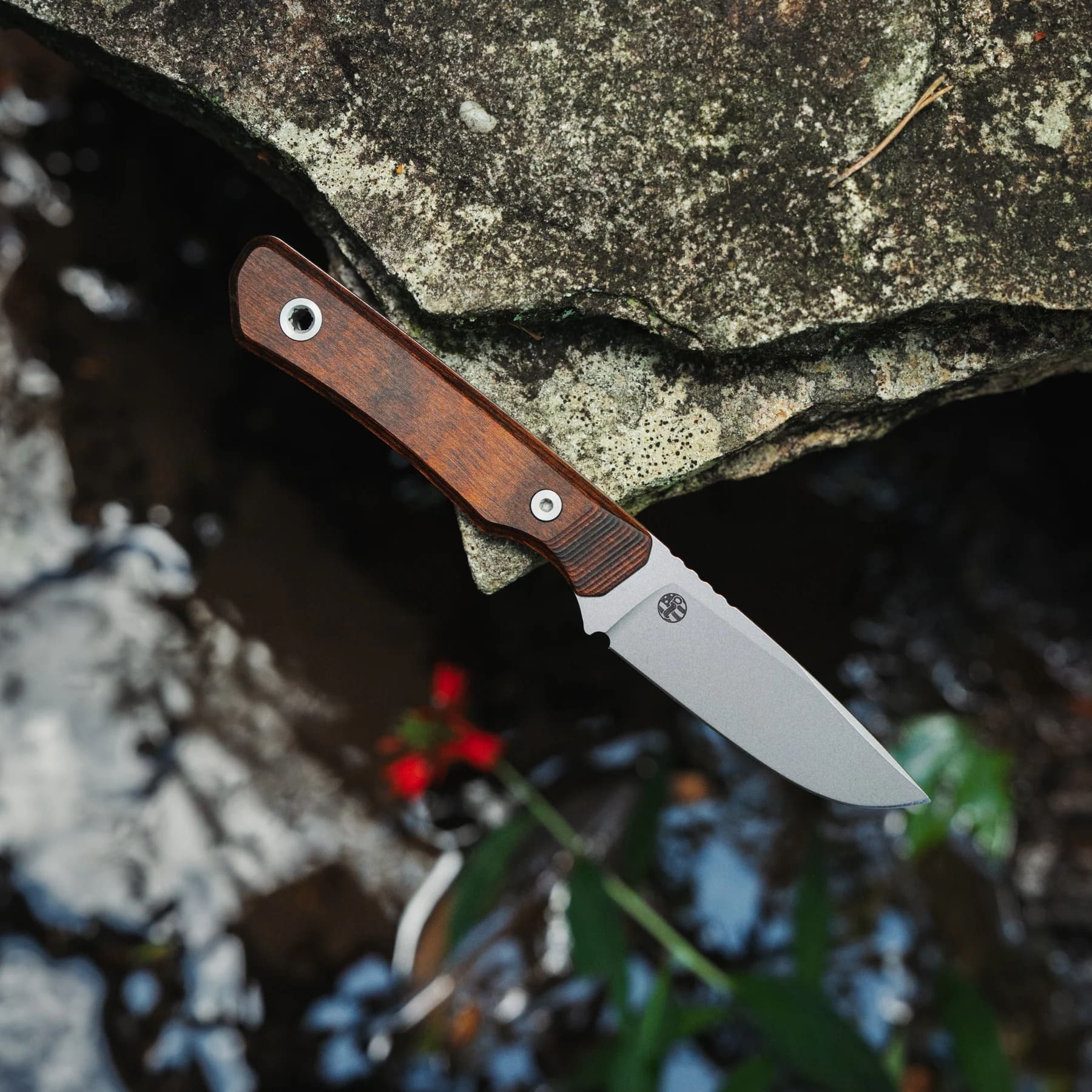 Big Idea Design USA Cloudland Fixed Blade – Image 1