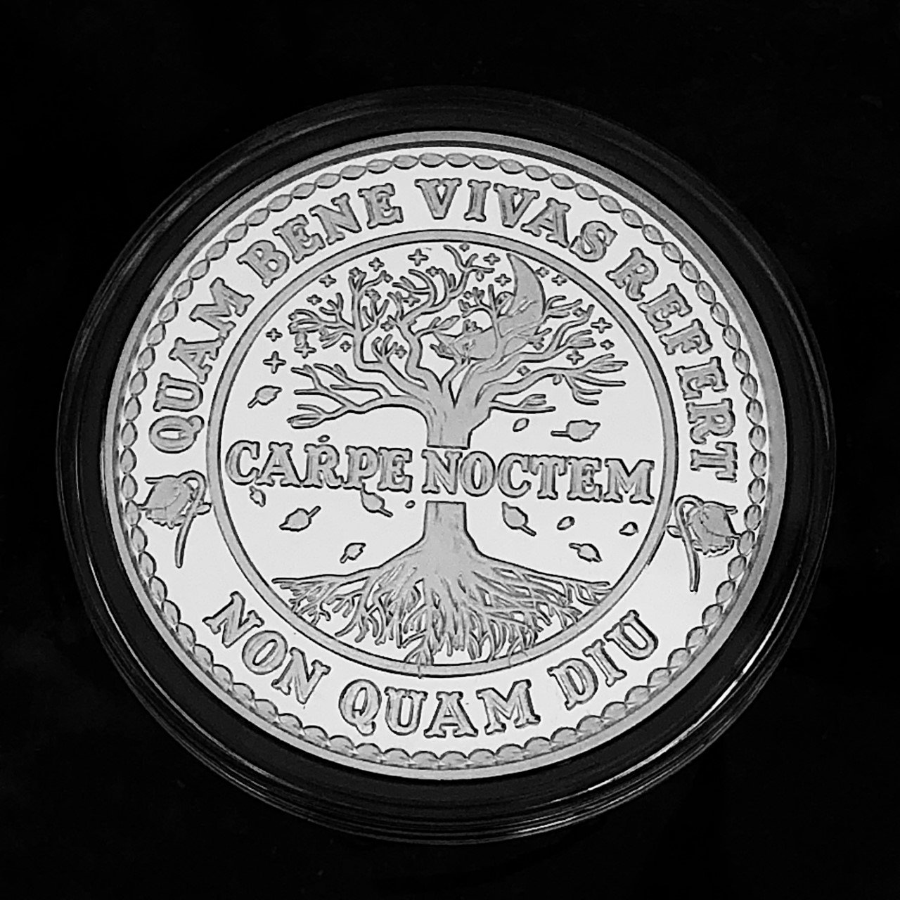 Carpe Noctem Coin 