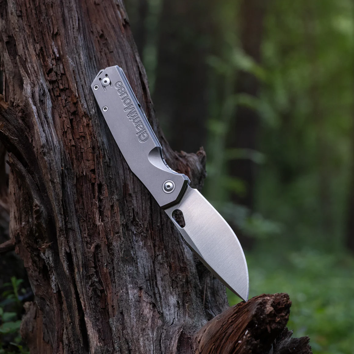 GiantMouse ACE Zoobie – Image 7