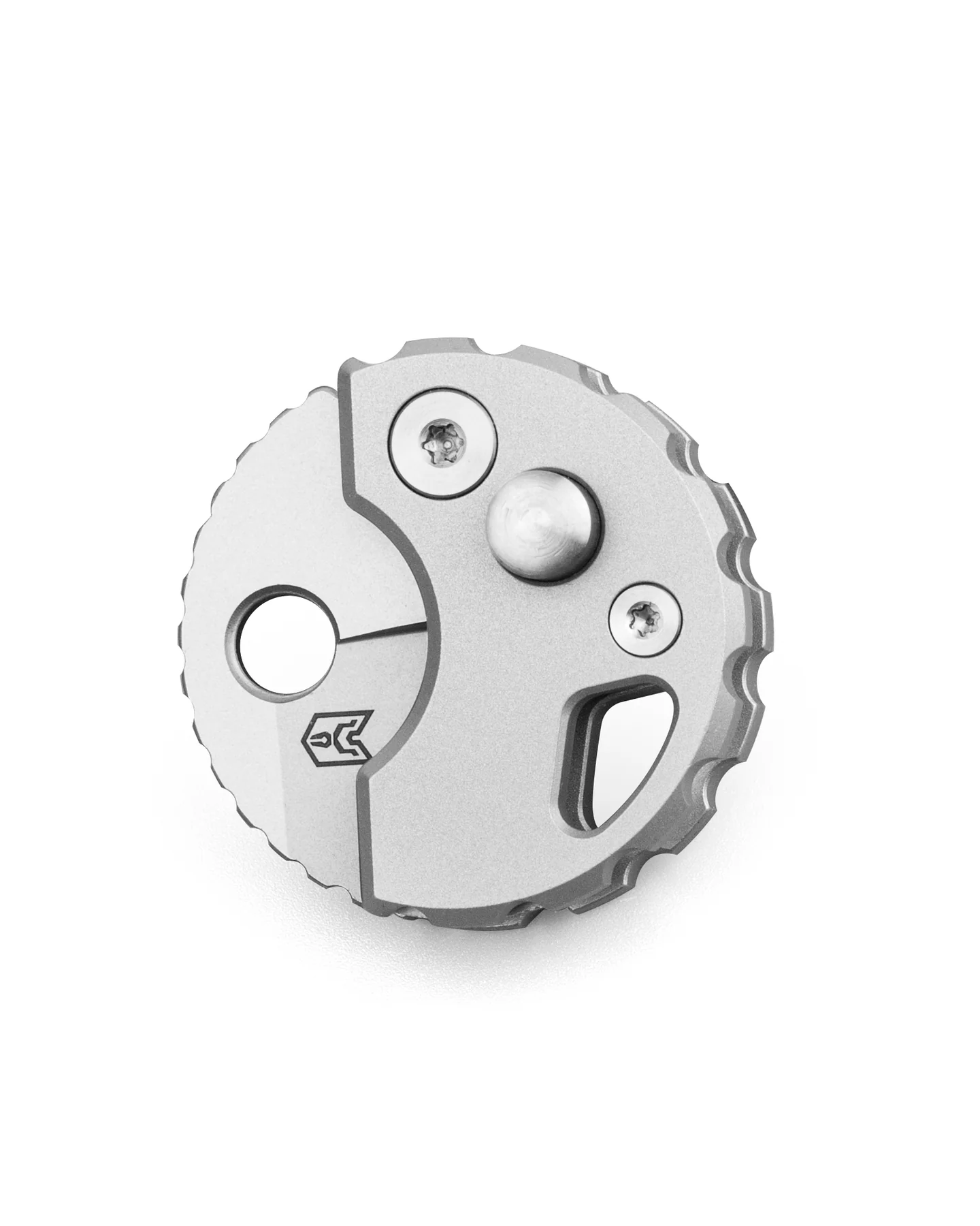 Bestechman Turtle – Image 3