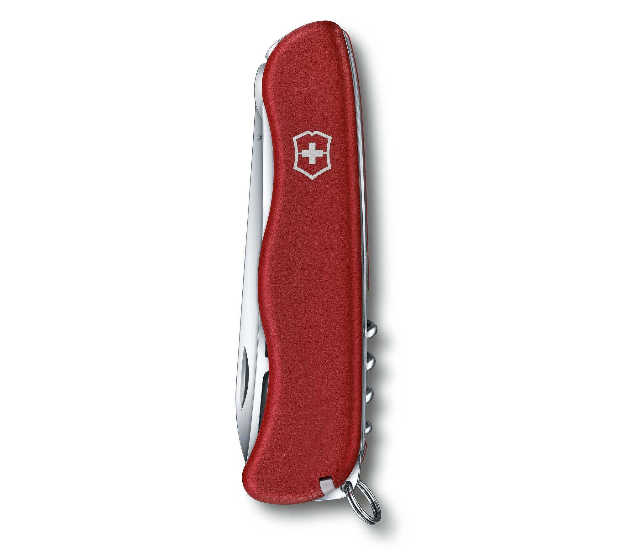 Victorinox Cheese Master rot