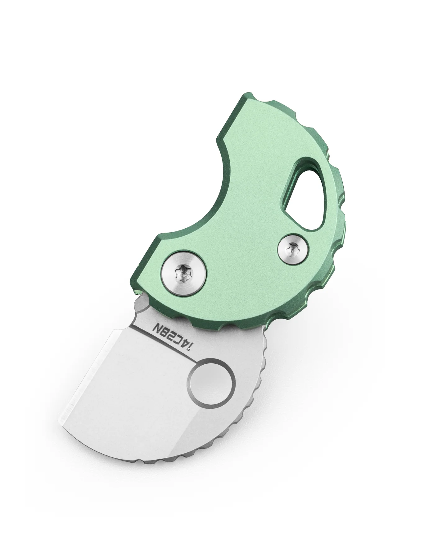 Bestechman Turtle – Image 2