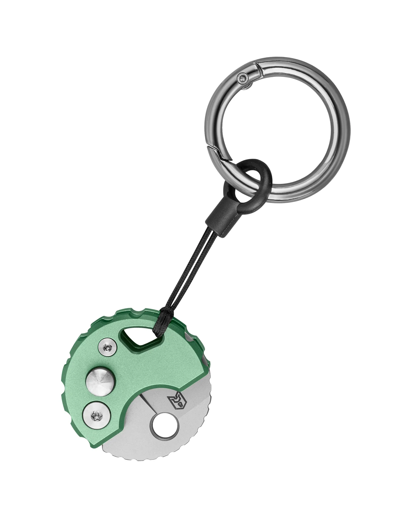 Bestechman Turtle – Image 5