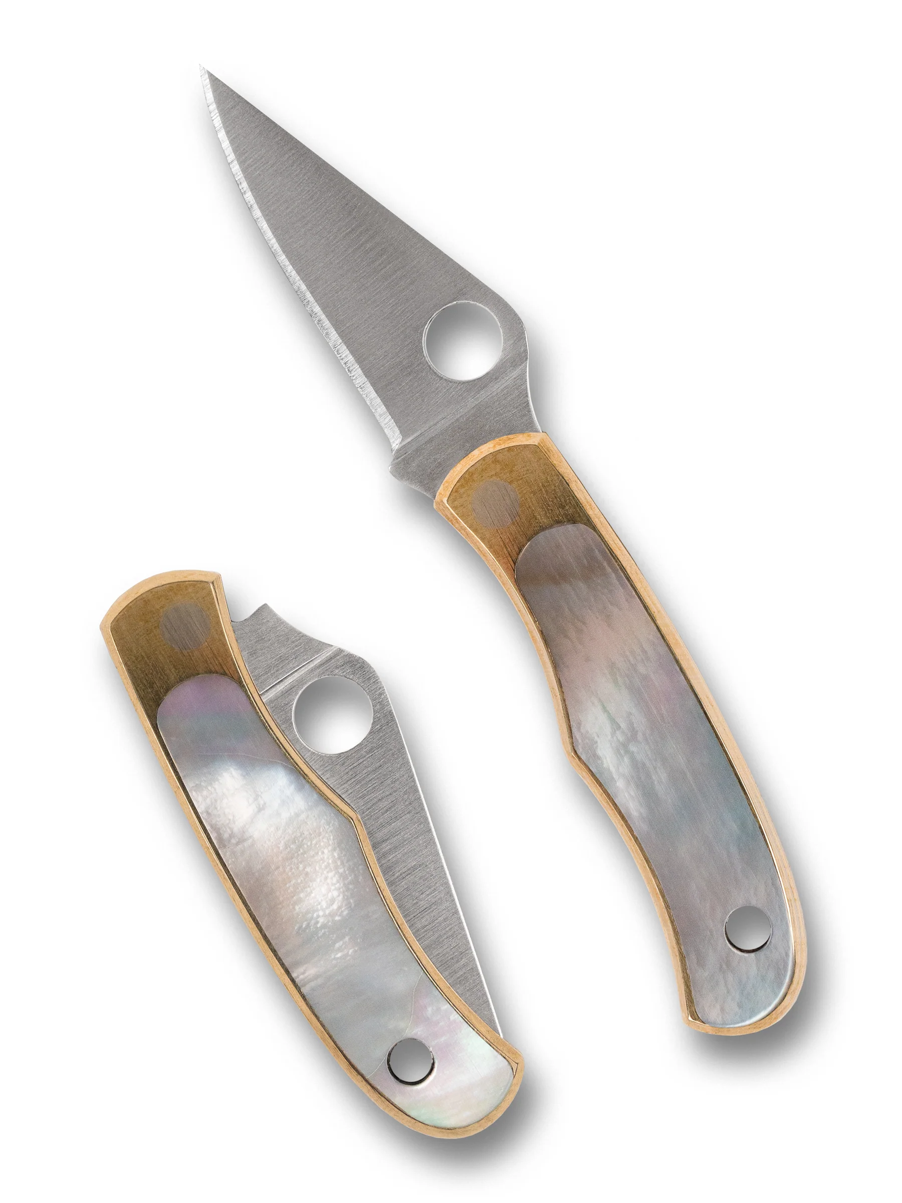 Spyderco Bug Nickel Silver Abalone 