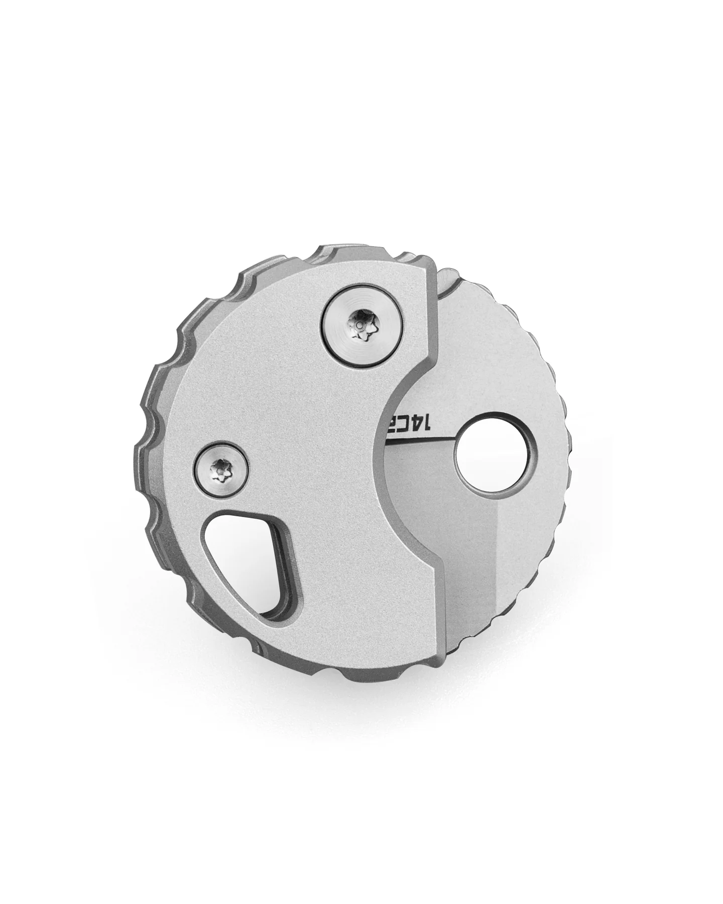 Bestechman Turtle – Image 4